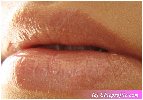 Spring-Lipgloss Spring Lipgloss New natural makeup for Spring 2010 in Grey Shades