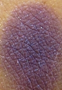 Guerlain Colors fall 2010 Champs Elysees swatch Guerlain Colors (Couleurs) Makeup Collection for Fall 2010   Information, Photos & Swatches
