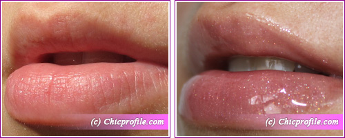 Max-Factor-Colour-Effects-2010-lip-gloss-pink-romantic-lip-swatches Max Factor Colour Effects 2010 lip gloss pink romantic lip swatches Max Factor Lip Gloss Pink Romantic from Colour Effect Summer 2010 Collection Review, Photos, Lip Swatches