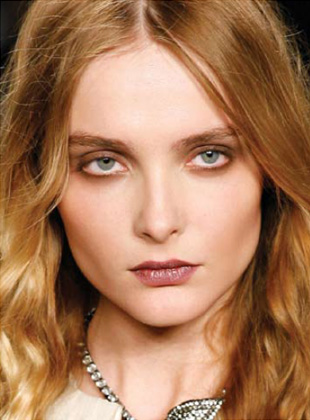 Max Factor Smoky Eye Effect Eyeshadows fall 2010 makeup Max Factor Smoky Eye Eyeshadow for Fall 2010 + Mini Tutorial