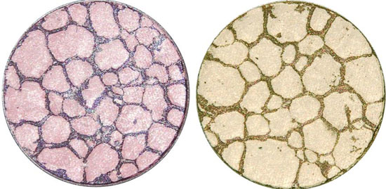 Lookx Natural Glam Fall Winter 2010 eyeshadow pink sand Lookx Natural Glam Makeup Collection for Fall   Winter 2010