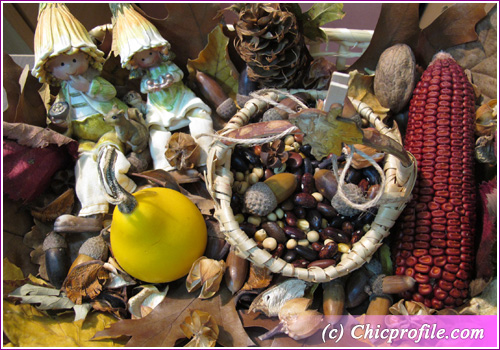 November-2010-leaves-fruits-flowers November 2010 leaves fruits flowers Chic Enjoyed Reading! 7.11.2010