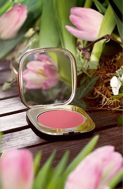 dolce gabbana blush of roses