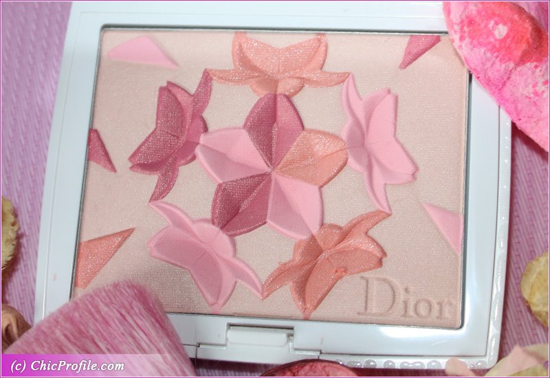 Dior Diorsnow Spring Coral Blush n Bloom Review Swatches Photos Beauty Trends and Latest Makeup Collections Chic Profile
