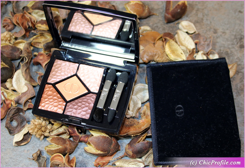 dior 5 couleurs wild earth