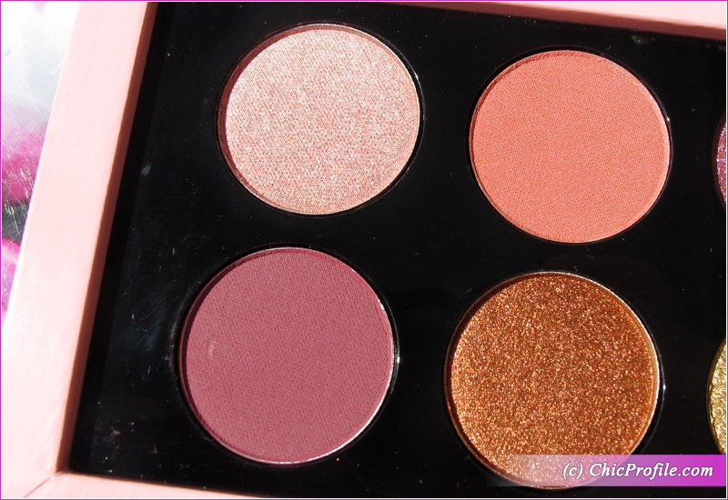 Pat McGrath Rose Decadence Eyeshadow Palette Matte Shades