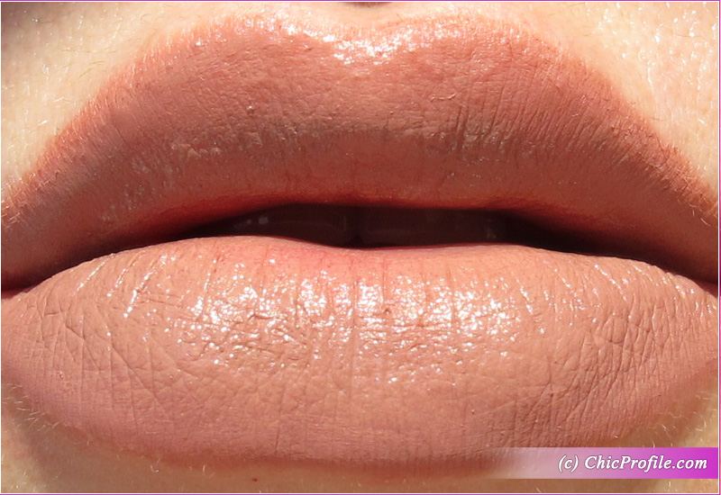 Full Color Matte Lipstick Mirthful Innuendo Lip Swatch