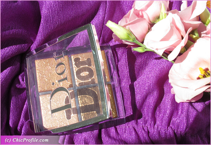 Dior Backstage 005 Copper Gold Glow Face Palette Review