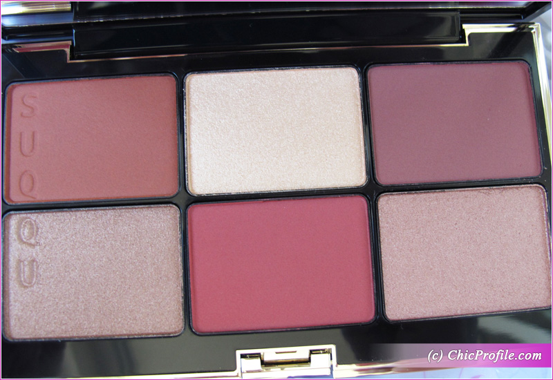 SUQQU Powder Blush Compact 102 Close Up