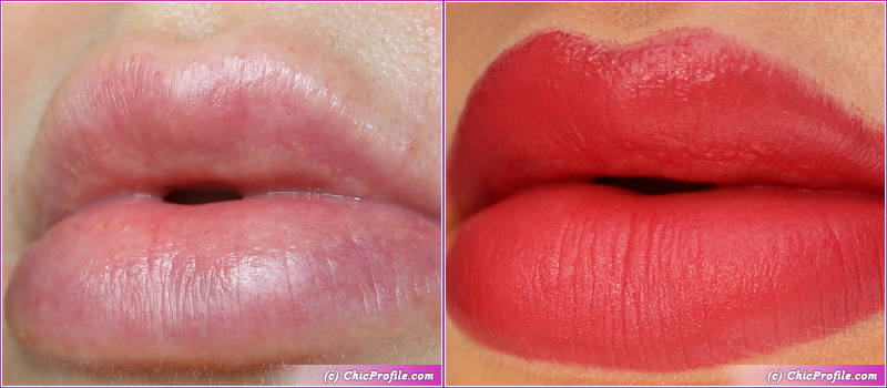 L'Absolu Rouge Intimatte (282) Very French Lip Swatches