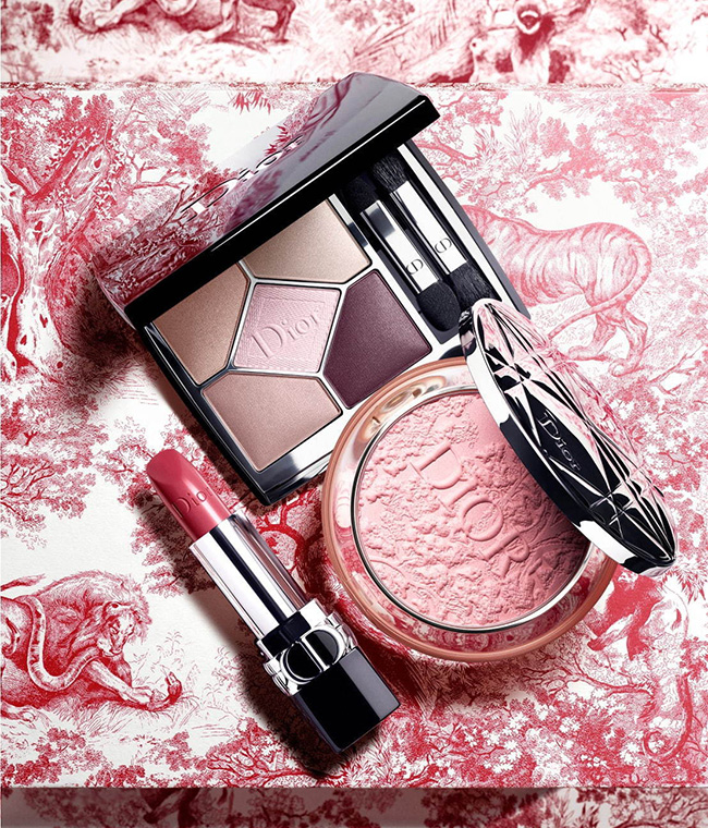 dior limited edition makeup